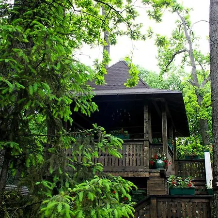 Cornul Vanatorului Bungalows Kompleks wypoczynkowy